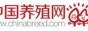 中国养殖网